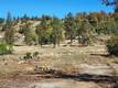 15240 SUMMIT COBB, CA 95426
