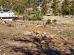 15240 SUMMIT COBB, CA 95426