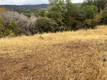 12170 CERRITO CLEARLAKE OAKS, CA 95423