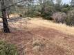 12170 CERRITO CLEARLAKE OAKS, CA 95423