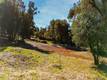 16198 24TH AVE CLEARLAKE, CA 95422