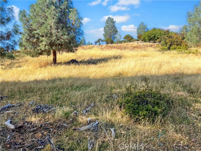 10203 EL CAPITAN KELSEYVILLE, CA 95451