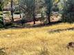 10203 EL CAPITAN KELSEYVILLE, CA 95451
