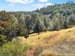 10203 EL CAPITAN KELSEYVILLE, CA 95451