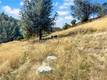 10203 EL CAPITAN KELSEYVILLE, CA 95451
