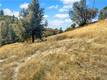10203 EL CAPITAN KELSEYVILLE, CA 95451