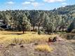10203 EL CAPITAN KELSEYVILLE, CA 95451