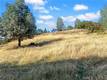 10203 EL CAPITAN KELSEYVILLE, CA 95451