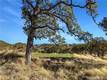 20560 SOLAR RIDGE LOWER LAKE, CA 95457