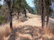 10312 CRESTVIEW CLEARLAKE, CA 95424