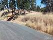 10312 CRESTVIEW CLEARLAKE, CA 95424