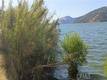 10312 CRESTVIEW CLEARLAKE, CA 95424