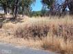 10312 CRESTVIEW CLEARLAKE, CA 95424