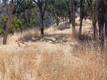 10312 CRESTVIEW CLEARLAKE, CA 95424