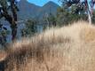 10312 CRESTVIEW CLEARLAKE, CA 95424