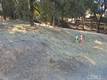 3882 PINE CLEARLAKE, CA 95422