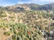 12636 LAKEVIEW CLEARLAKE OAKS, CA 95423