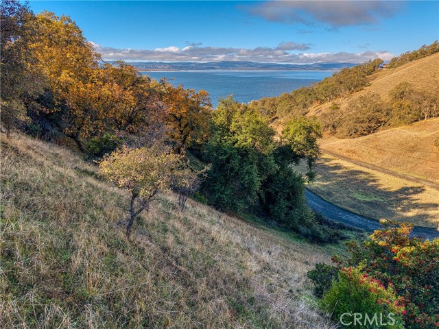 7431 BRUNER GLENHAVEN, CA 95443
