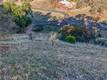 7431 BRUNER GLENHAVEN, CA 95443