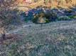 7431 BRUNER GLENHAVEN, CA 95443