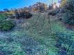 7431 BRUNER GLENHAVEN, CA 95443
