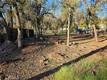 16287 17TH AVENUE CLEARLAKE, CA 95422