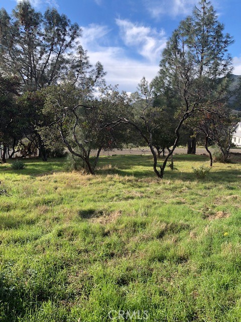 5308 OLYMPIA DRIVE KELSEYVILLE, CA 95451