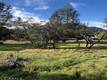 5308 OLYMPIA DRIVE KELSEYVILLE, CA 95451