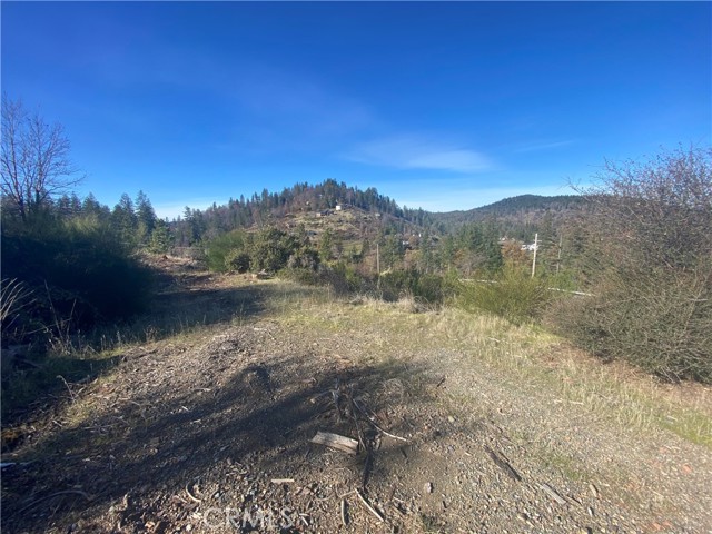 14733 DOVE DRIVE COBB, CA 95426