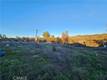 17150 DEER PARK LOWER LAKE, CA 95457