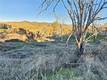 17150 DEER PARK LOWER LAKE, CA 95457