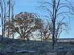 17150 DEER PARK LOWER LAKE, CA 95457