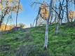 17150 DEER PARK LOWER LAKE, CA 95457