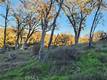 17150 DEER PARK LOWER LAKE, CA 95457