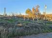 17150 DEER PARK LOWER LAKE, CA 95457