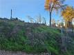17150 DEER PARK LOWER LAKE, CA 95457