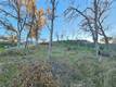 17150 DEER PARK LOWER LAKE, CA 95457