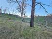 17150 DEER PARK LOWER LAKE, CA 95457
