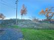 17150 DEER PARK LOWER LAKE, CA 95457