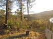9000 S STATE HIGHWAY 29 LOWER LAKE, CA 95457