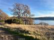 11872 KONOCTI CLEARLAKE OAKS, CA 95423