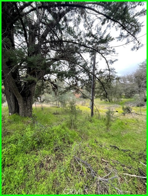 13672 FAIR OAK ROAD CLEARLAKE, CA 95424