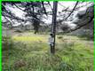 13672 FAIR OAK ROAD CLEARLAKE, CA 95424
