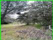 13672 FAIR OAK ROAD CLEARLAKE, CA 95424