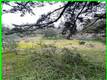 13672 FAIR OAK ROAD CLEARLAKE, CA 95424