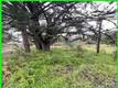 13672 FAIR OAK ROAD CLEARLAKE, CA 95424