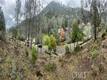 4707 KAWEAH ROAD KELSEYVILLE, CA 95451