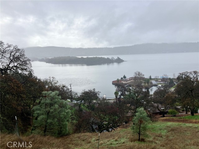 12039 LAKEVIEW CLEARLAKE OAKS, CA 95423