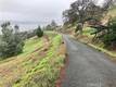 12039 LAKEVIEW CLEARLAKE OAKS, CA 95423