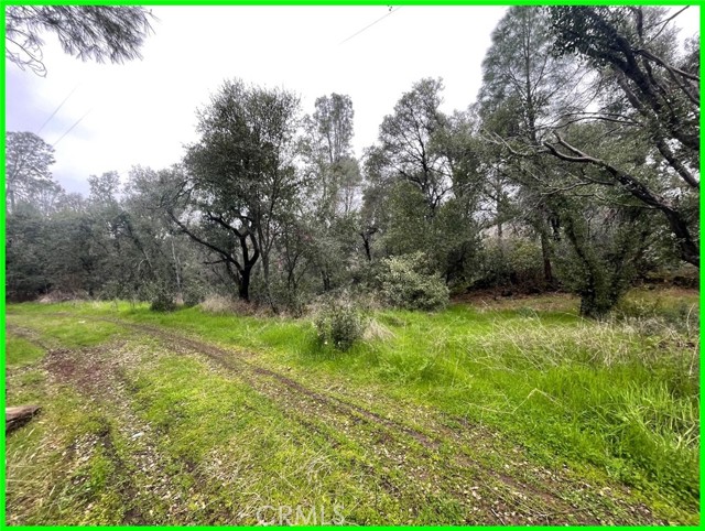 15572 SHARPE DRIVE CLEARLAKE, CA 95422